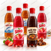 chai PET 500ml
